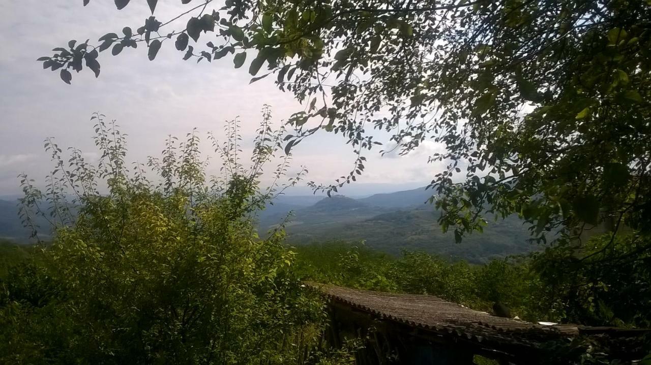 Holiday Home Vižinada Kültér fotó
